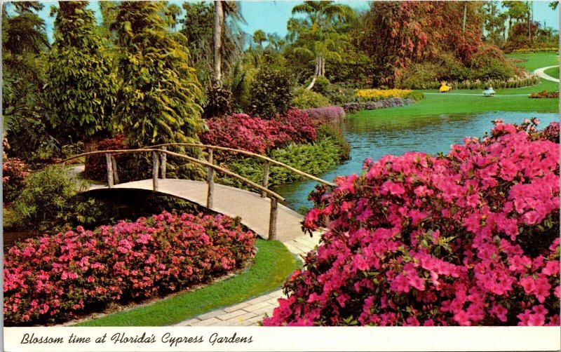 Cypress Gardens Flower Blossom Time Bridge Scenic Lake Chrome Postcard 