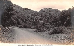 Bald Mountain - Roxbury in the Catskills, New York NY  