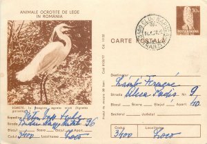 Romania postal stationery postcard egrete bird
