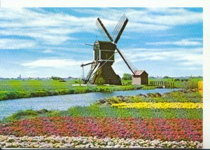 Netherlands Postcard - Holland - Land of Flowers and Wind-mills - Ref 18147A