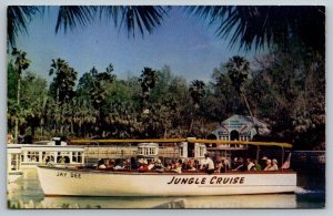 Jungle Cruise  Silver Springs   Florida     Postcard