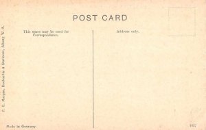 Albany Western Australia Queen's Park and Stirling Terrace Postcard JJ649367