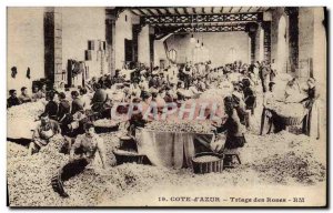 Postcard Collection Old roses Triage Cote d & # 39Azur