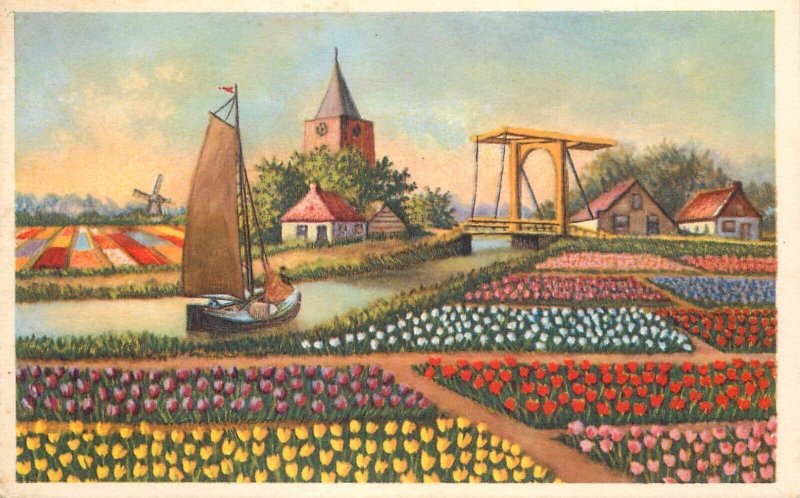 Navigation & sailing related old postcard Netherland sailboat windmill tulip