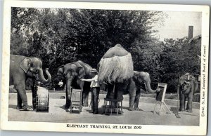 Elephant Training On Stool Grass Skirt, Making Music St Louis Zoo Postcard D62 