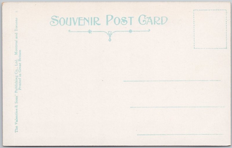 La Have River Bridgewater NS Canada Vintage Lithograph Postcard H81