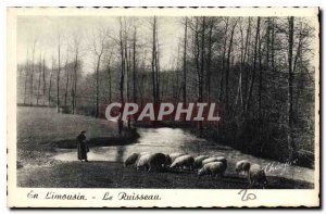 Old Postcard In Limousin The Sheep Creek