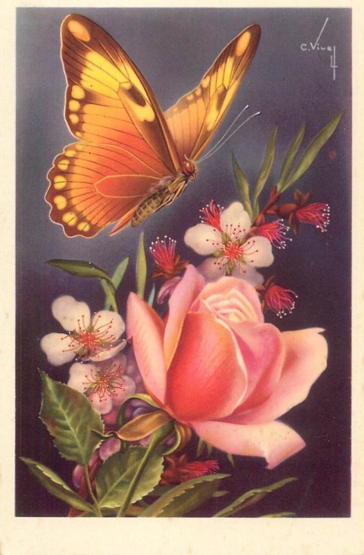 Flowers & plants greetings postcard Belgium flower butterfly fantasy