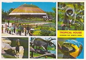 Canada Winnipeg The Tropical House Assiniboine Park