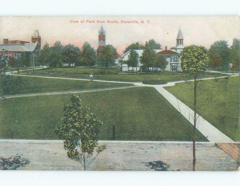 Unused Divided-Back PARK SCENE Dansville New York NY c8238