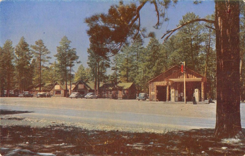 JACOB LAKE INN Jacob Lake, Arizona Roadside Gas Station c1950s Vintage Postcard