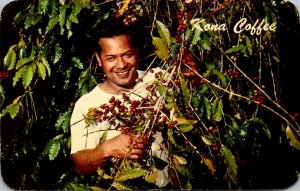 Hawaii Kona Native With Coffee Berries