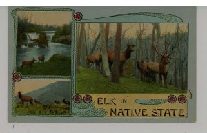 Elk  (Multi-View)