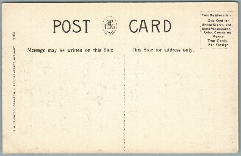 PINE BROOK NJ HORSE NECK BRIDGE ANTIQUE POSTCARD