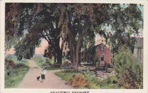 Vermont Beautiful Vermont