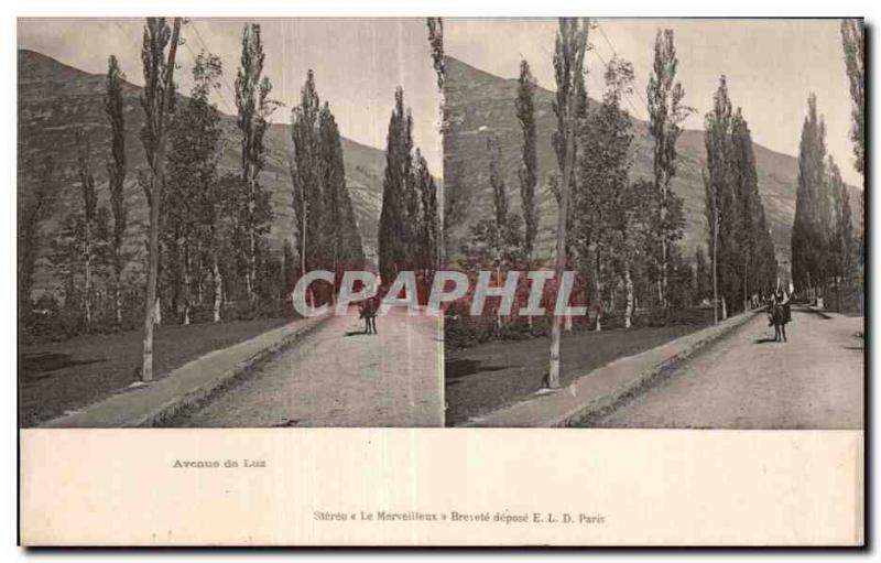 Stereoscopic Card - Avenue de Luz - Old Postcard