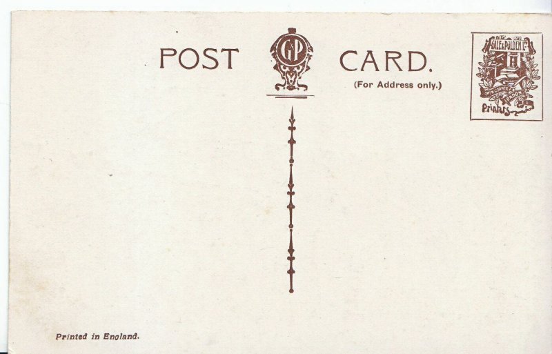 Middlesex Postcard - The Maze - Hampton Court Palace    Z419
