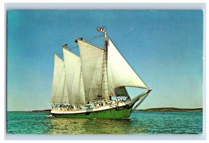 Vintage The Victory Chimes Schooner Off The Coast Of Maine Postcard F126E