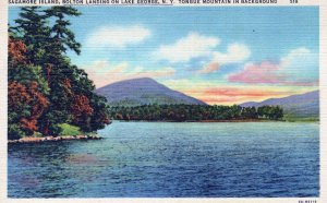 VINTAGE POSTCARD SAGAMORE ISLAND TONGUE MOUNTAIN LAKE GEORGE NEW YORK c. 1940