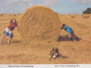 Harvest Farming Time Countesthorpe Leicester Children Hay Straw Rare Postcard