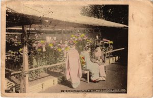 PC YOKOHAMA CHRYSANTENUM AT NOZAWA'S GARDEN TINTED JAPAN (a32508)