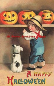 Halloween, IAP No 1237-2, Ellen Clapsaddle, Boy & Dog Looking at Jack o Lanterns