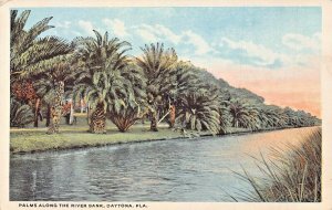 DAYTONA FLORIDA~PALMS ALONG THE RIVER BANK~1918 DREW & COMPANY POSTCARD