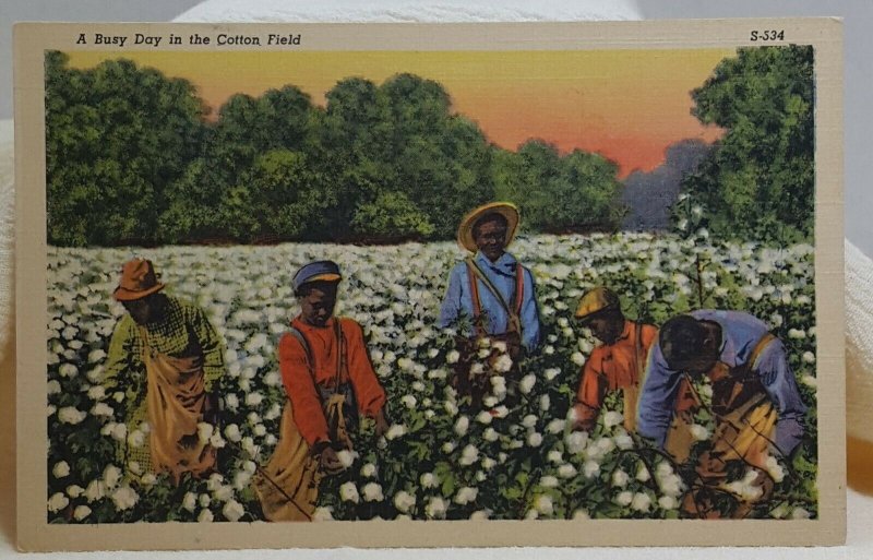 A Busy Day in the Cotton Field Vintage Postcard