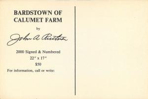 Thoroughbred Horse Bardstown Of Calumet Farms Print Sale Advertising Postcard