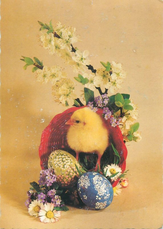 Postcard Greetings Easter scene chicken basket flower