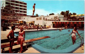 VINTAGE POSTCARD DIVING BOARD SWIMMING POOL SCENE THE SEAGULL HOTEL MIAMI BEACH