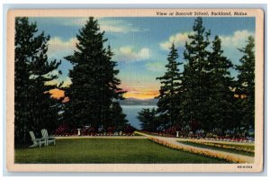 c1940's View At Bancroft School Pine Trees Landscape Rockland Maine ME Postcard