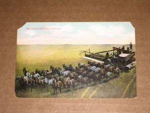 VINTAGE UNUSED POSTCARD HARVESTING SCENE IN CALIFORNIA  PENNY PC