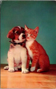 Dog and Cat Close Friends De Falco Shoes Card Hyde Park & Poughkeepsie New York