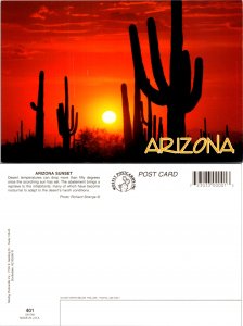 Arizona Sunset (10866)