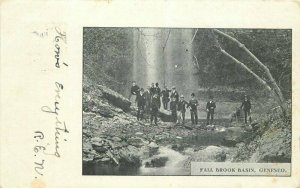 Fall Brook Basin Geneseo New York 1906 Livingston Finger Lakes Postcard 21-3162