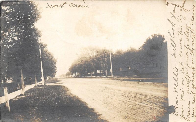 Woodland Michigan~North Main Street~Houses & Trees~Unpaved Street~1907 RPPC