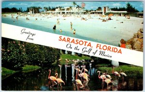 x19 MIXED LOT c1960s Florida Greetings From Chrome City Postcards FL A178-1