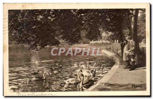 Old Postcard Paris the Bois de Boulogne on the lower lake Swans Swans