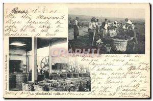 Old Postcard Folklore Wine Harvest Epernay Champagne