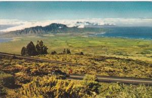 Hawaii West Maui Sugar Cane and Pineapple Fileds