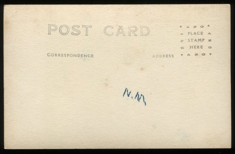 Sheep. Vintage AZO real photo postcard