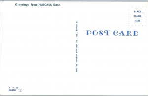 Fishing in a stream in Naicam Saskatchewan Canada Postcard