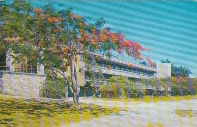 Florida Coral Gables Campus Scene University Of Miami 1962