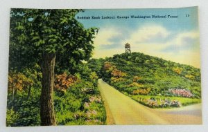 Vintage Postcard Reddish Knob Lookout George Washington National Forest Color