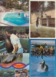 SEALIFE/DOLPHINS 44 Vintage ANIMALS Postcards pre-1970 (L3618)