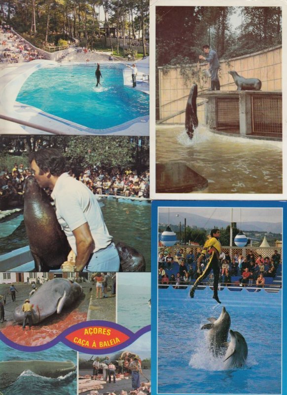 SEALIFE/DOLPHINS 44 Vintage ANIMALS Postcards pre-1970 (L3618)