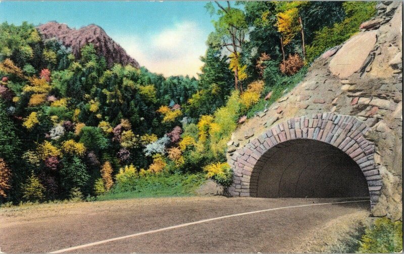 Tunnel Chimney Tops Newfound Gap Highway Great Smoky Mts National Park Postcard 