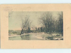 Divided-back BARE TREES ALONG THE RIVER Postmarked Chicago Illinois IL AD7953