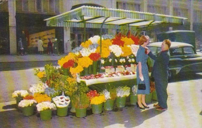 California San Francisco City Street Corner Flower Stand